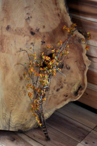 ツルウメモドキ アーカイブ 森の花屋 Kicorico